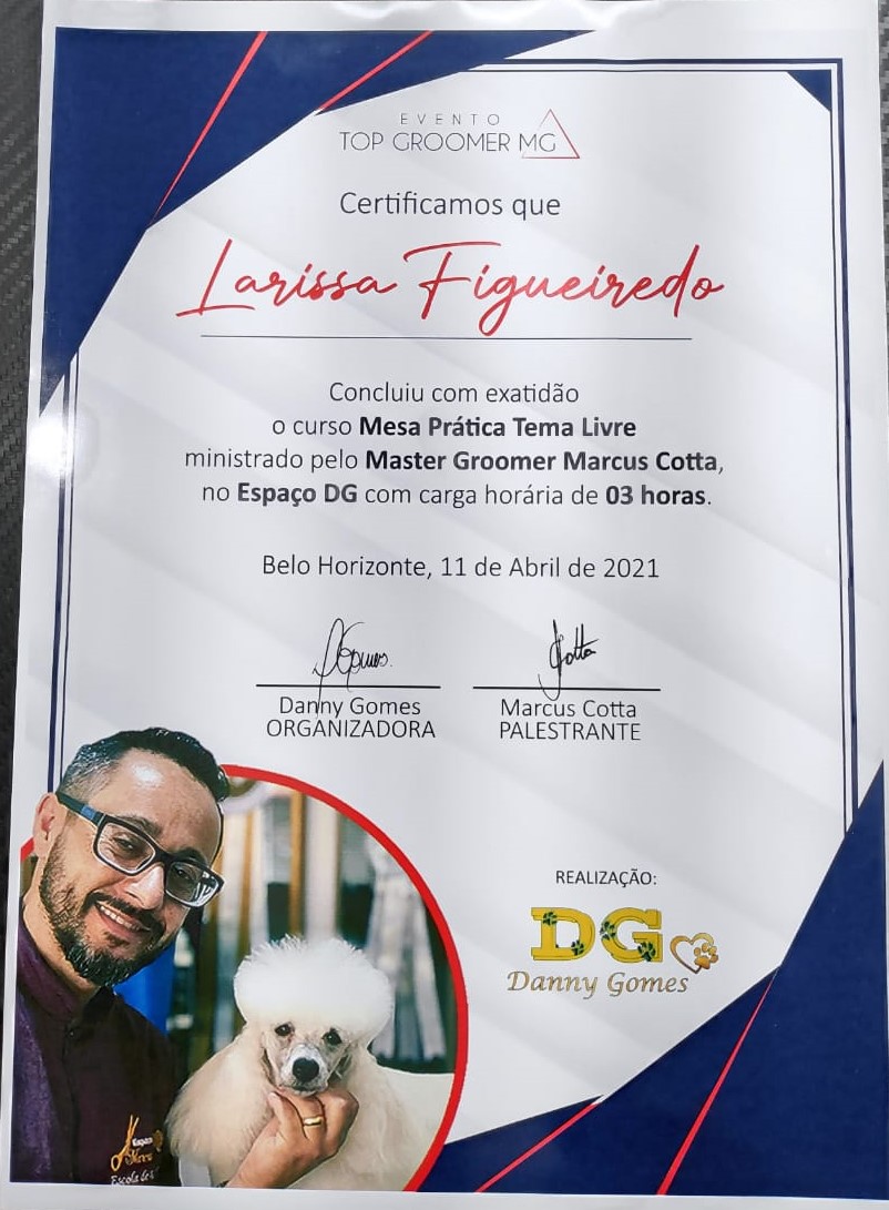 Curso